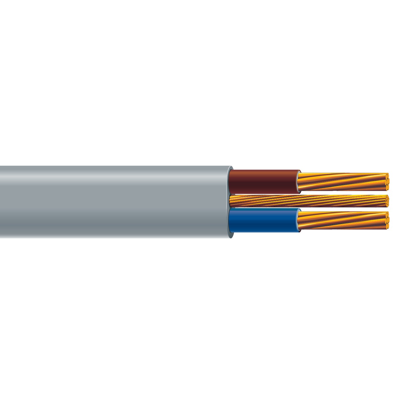 6242-Y Twin and Earth PVC Cable